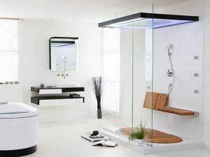 white transparent bathroom 1